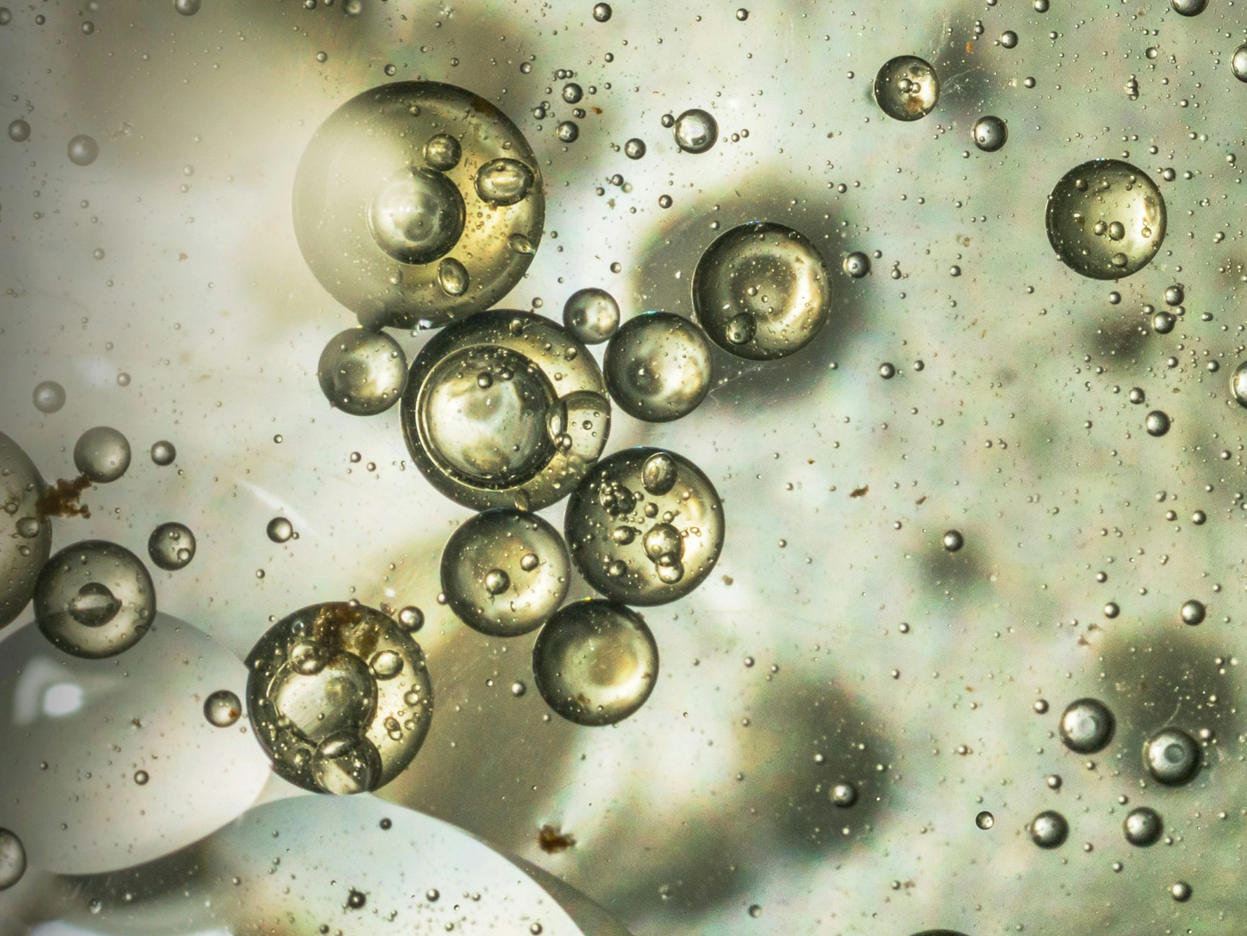 Mamilac Lactoferrin + MFGM 2 | Folgemilch ab dem 6 Monat Bild zu Ohne Palmöl - ohne Fischöl - ohne Maltodextrin