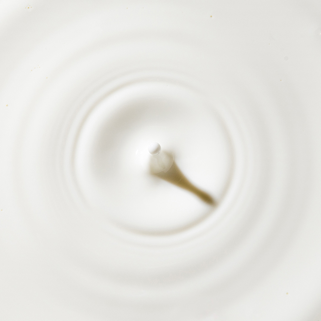 Mamilac Lactoferrin + MFGM 2 | Folgemilch ab dem 6 Monat Bild zu Hochwertige Phospholipide aus Milch-Fett-Globulin-Membranen